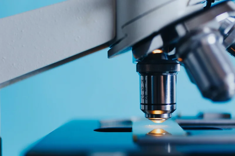 Étape 2 : Analyser la santé technique du site